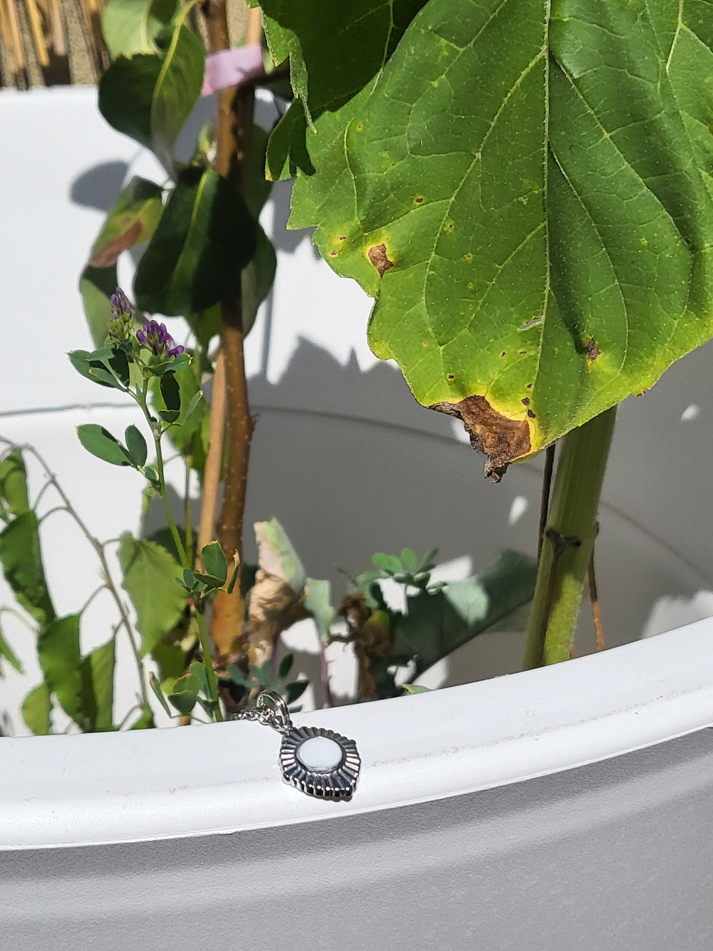Collier soleil argent