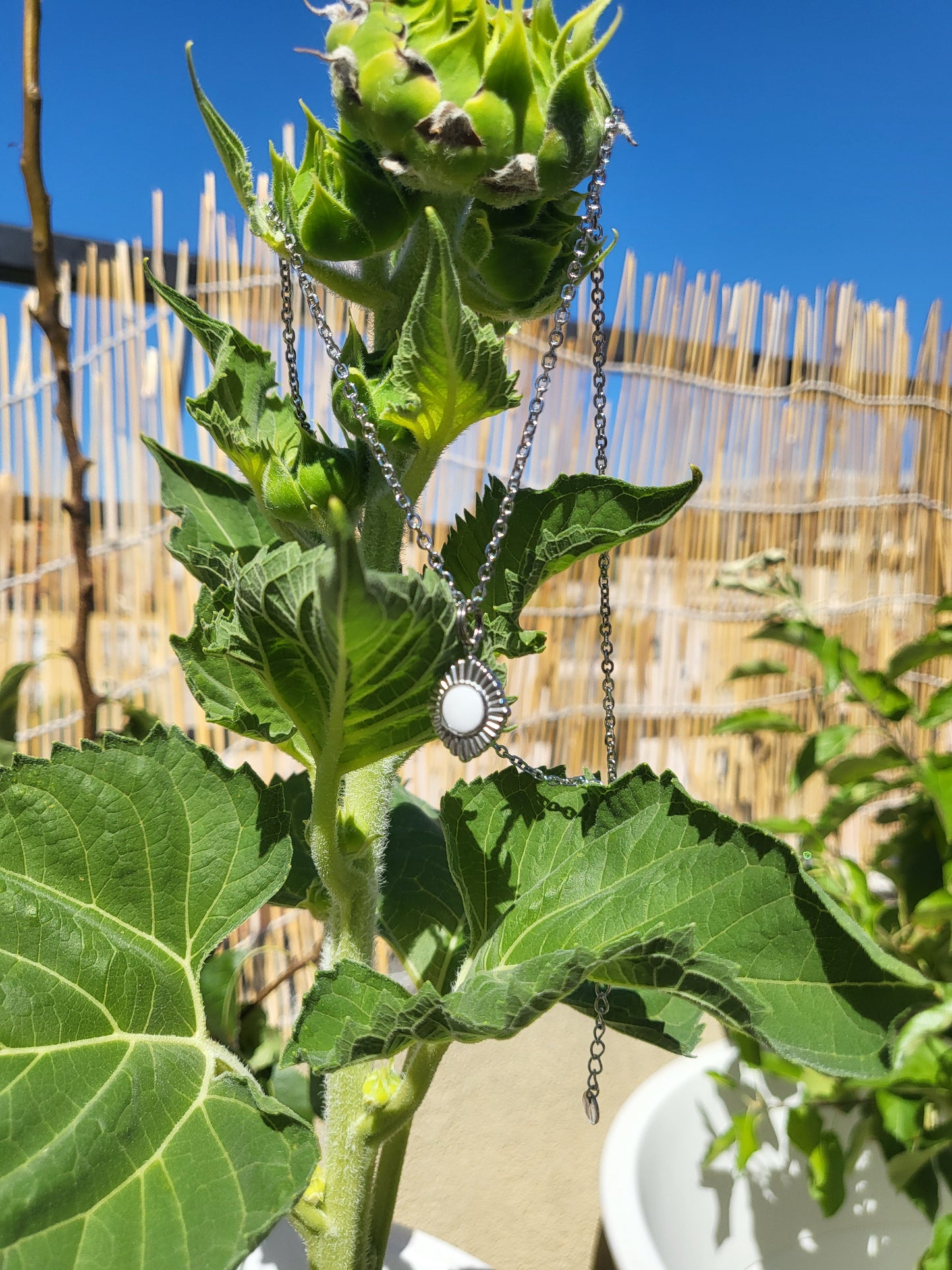 Collier soleil argent